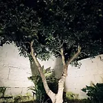 Dimora Santa Sofia Con Dependace E Giardino * ديسون