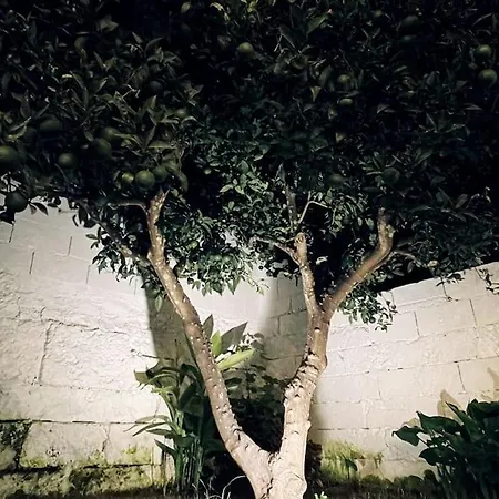 Dimora Santa Sofia Con Dependace E Giardino * דיסו